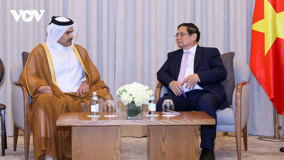 Vietnam seeks Qatar support in energy development